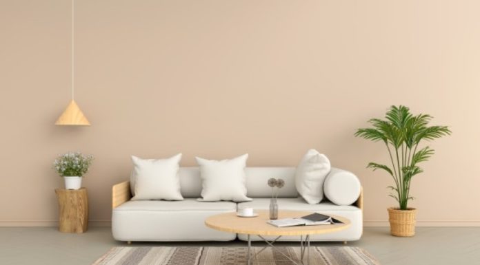 😚🎃5 เฉดสี ทาเเล้วบ้านดูไม่โทรม😚🎃