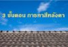 3 ขั้นตอน ทาสีหลังคา ยังไงให้อยู่ทน