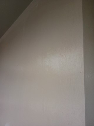 ช่างทาสี ราม2 3