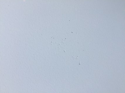 อยากทาสีบ้านเอง4