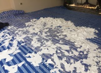 วิธีเแก้ปัญหา สีฝ้าล่อน ที่ใครๆก็ทำได้ สีฝ้าล่อน