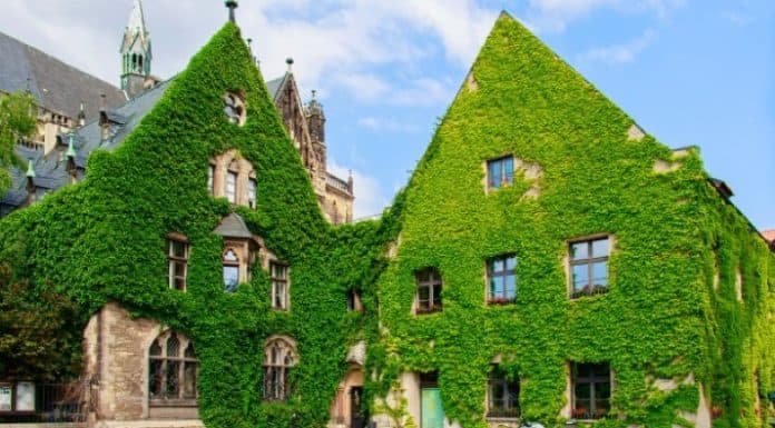 บ้านสีเขียว บ้านที่ใครๆก็ใฝ่ฝัน บ้านสีเขียว