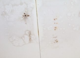 ฝ้าขึ้นเชื้อรา แก้ด้วยสีทาฝ้ากันชื้น ได้ไหม สีทาฝ้ากันชื้น