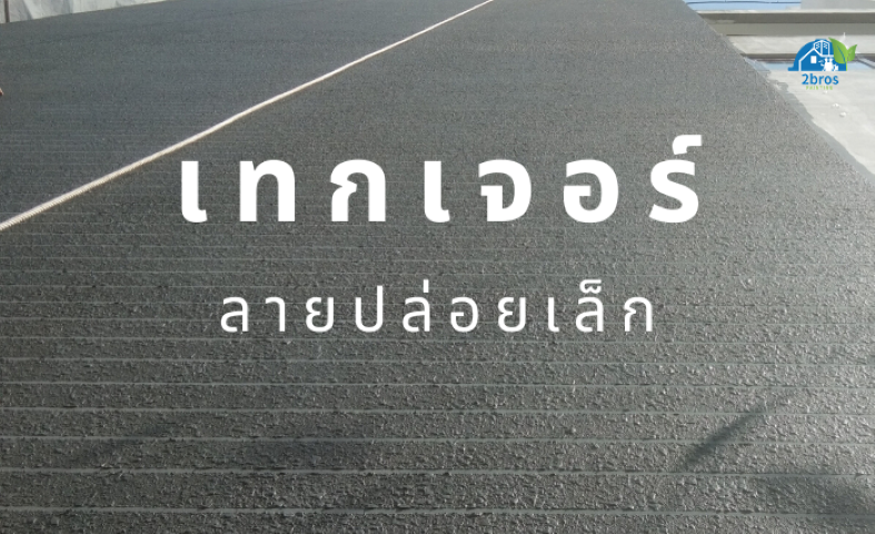 สีเทกเจอร์ ลายปล่อยเล็ก