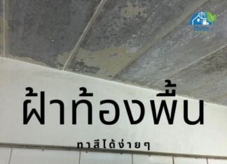 ทาสีฝ้าท้องพื้น ง่ายๆด้วยตัวเอง