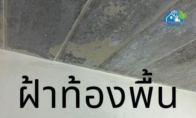 ทาสีฝ้าท้องพื้น ง่ายๆด้วยตัวเอง