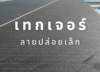 สีเท็กเจอร์ สีของคนรุ่นใหม่ สีเทกเจอร์ ลายปล่อยเล็ก