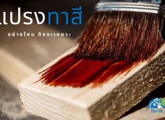 แปรงทาสี อย่างนี้สิที่ใช่ !!