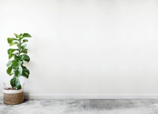 สีรองพื้นปูนใหม่ TOA มีดีอะไร ทำไมต้องทา !! สีรองพื้นปูนใหม่ TOA 1