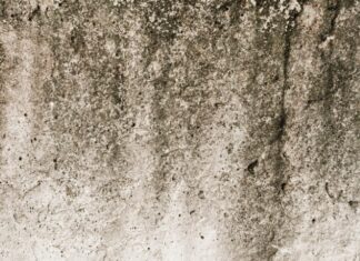 ผนังเป็นตะไคร่ แก้ไขได้ง่ายๆด้วยตัวเราเอง