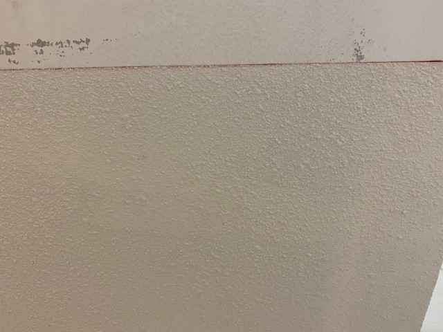 สีเทกเจอร์ ลายไข่ปลา 3