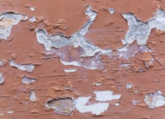 สีกันชื้น กันเชื้อรา มีจริงหรือเเค่โฆษณา สีกันชื้น กันเชื้อรา