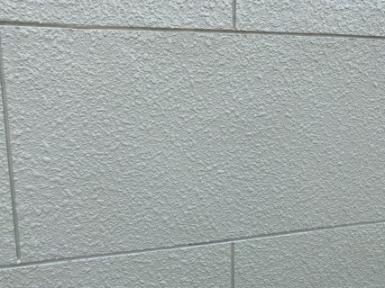 สีเทกเจอร์ ลายปล่อยเล็ก 2