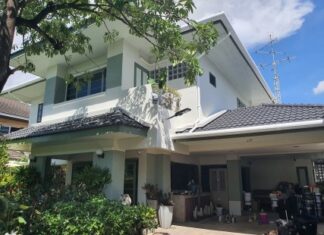 ทาสีบ้านเดี่ยว นนทบุรี สีโทนเย็นเหมาะกับคนรักต้นไม้