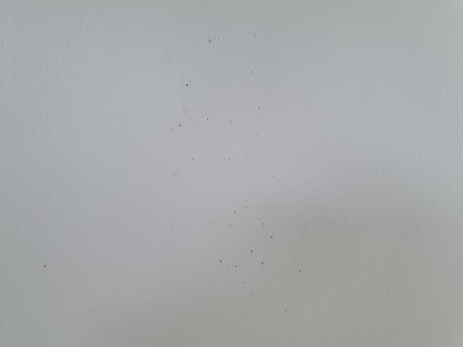 รีวิว ทาสีห้องนอน 3