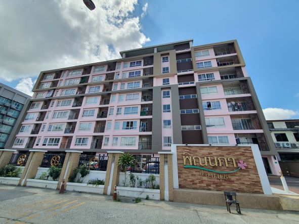 ทาสีโรยตัว ราคา 1