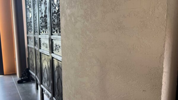 สีเท็กเจอร์ toa ลายหินผุ 1