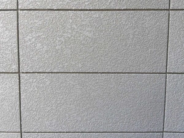 rocky snow จระเข้ ทำบนเฟอร์ได้ไหม