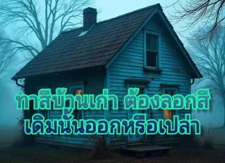 น้ำยาลอกสีบ้านเก่า จำเป็นต้องใช้หรือไม่ บ้านเก่าสีลอก