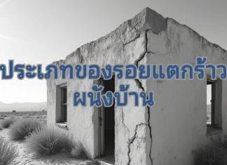 ประเภทของรอยแตกร้าวผนังบ้าน มีกี่ประเภท รอยแตกร้าวขนาดเล็ก