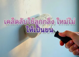 เคล็ดลับใช้ลูกกลิ้ง ใหม่ไม่ให้เป็นขน ลูกกลิ้งใหม่