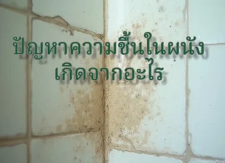 ปัญหาความชื้น ในผนังเกิดจากอะไร ? ผนังความชื้น