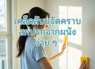 เคล็ดลับขจัดคราบสกปรกจากผนัง ง่ายๆ ทำความสะอาดผนังง่ายๆ