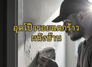 อุดโป๊วรอยแตกร้าวผนังบ้าน แบบไหนดี อุดโป๊วรอยแตกร้าว