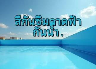 สีทาดาดฟ้ากันน้ำ กันซึม คืออะไร ? สีกันซึมดาดฟ้าคืออะไร