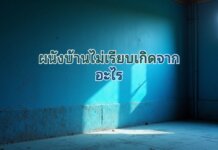 ผนังบ้านไม่เรียบ เกิดจากอะไรได้มั้ง ? ทาสีไม่เรียบ ผนังเป็นคลื่น