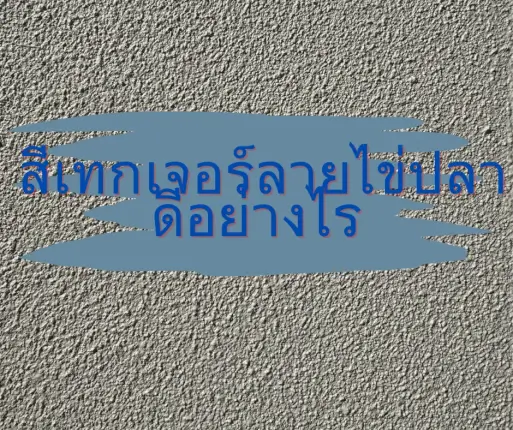 สีเทกเจอร์ลายไข่ปลาดีอย่างไร