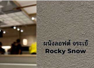 ผนังลอฟต์ จระเข้ Rocky Snow ที่นิยม stucco ใหม่