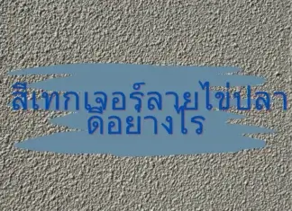 ทำไมต้องเลือกสีเทกเจอร์ ลายใข่ปลาด้วย สีเทกเจอร์ลายไข่ปลาดีอย่างไร