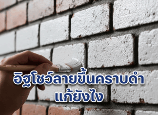 อิฐโชว์ลายขึ้นคราบดำแก้ยังไง มีวิธีไหม ? การทาสีอิฐโชว์ลาย