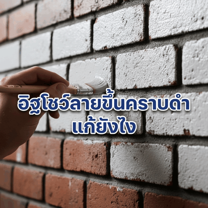 การทาสีอิฐโชว์ลาย 02 การทาสีอิฐโชว์ลาย
