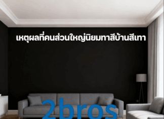 เหตุผลที่คนส่วนใหญ่นิยมทาสีบ้านสีเทา