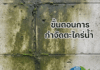 ขั้นตอนการกำจัดตะไคร่น้ำ ผนังมีตะไคร่น้ำ
