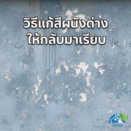 สีบ้านด่าง