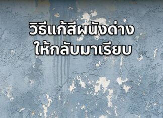 วิธีแก้สีผนังด่างให้กลับมาเรียบเนียน สีบ้านด่าง