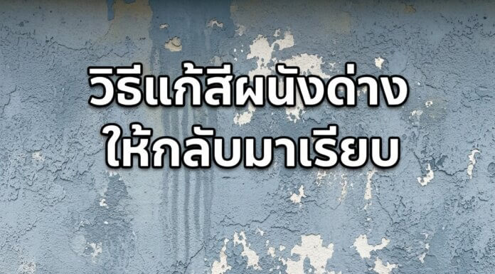 วิธีแก้สีผนังด่างให้กลับมาเรียบเนียน สีบ้านด่าง