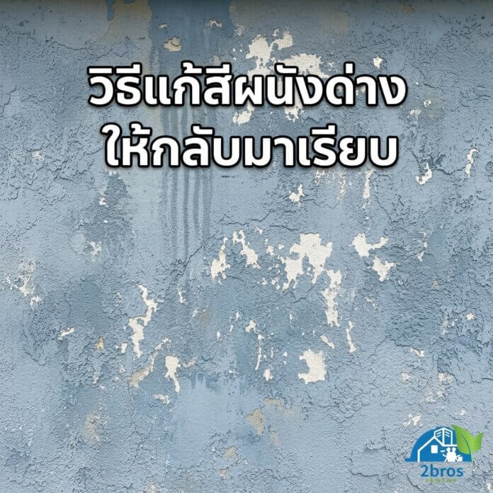 สีบ้านด่าง