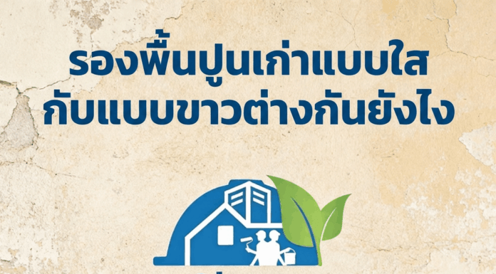 รองพื้นปูนเก่าแบบใสกับแบบขาวต่างกันยังไง สีรองพื้นปูนเก่ามีกี่แบบกันแน่