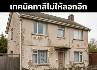 เทคนิคทาสีไม่ให้บ้านลอกอีก