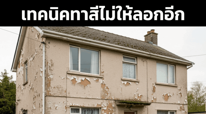 เทคนิคทาสีไม่ให้บ้านลอกอีก