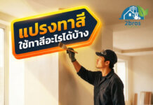 แปรงทาสีใช้ทาสีอะไรได้บ้าง ? ใช้แปรงทาสีบ้าน